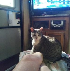 Meet your Posher, Liz